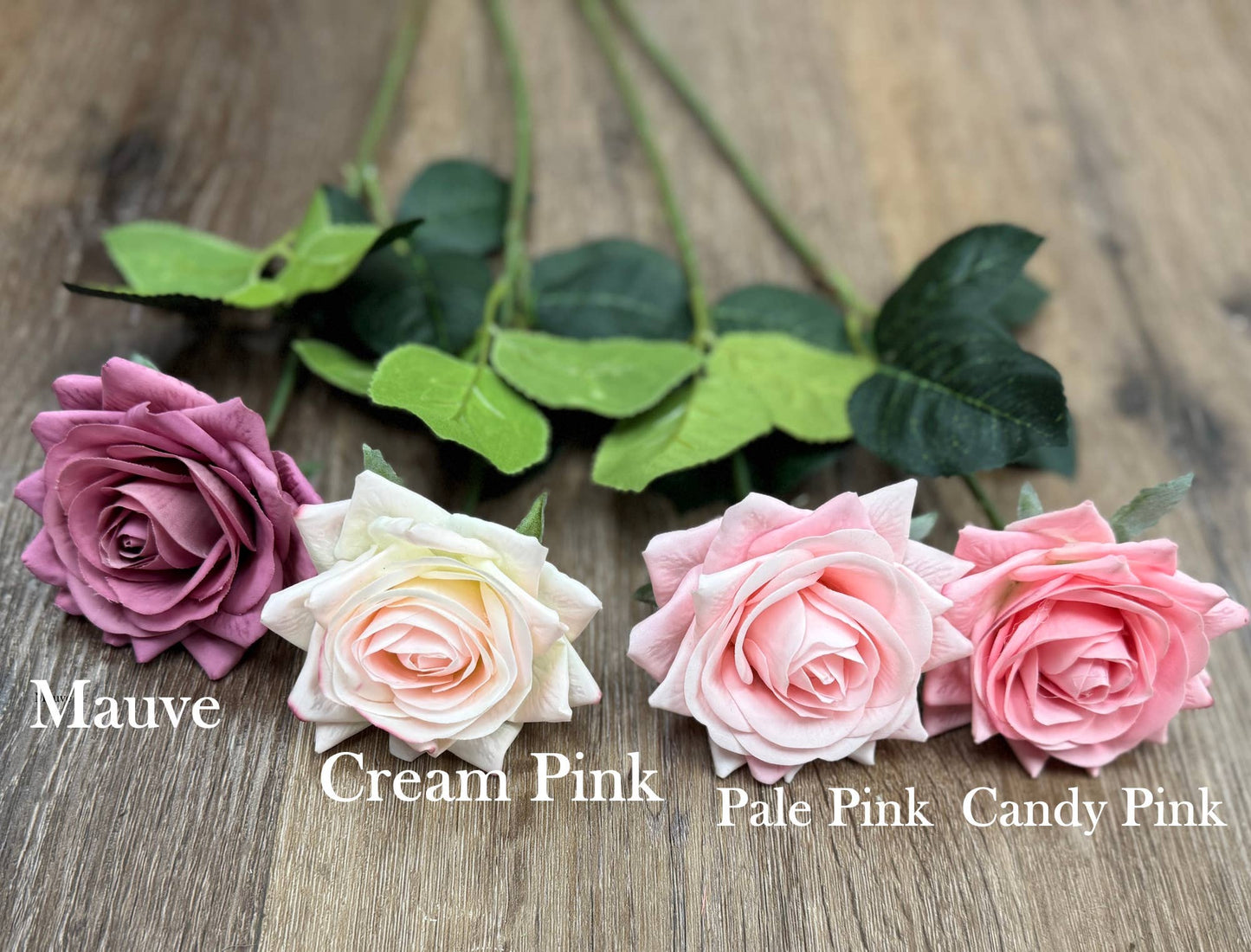 Pack of 50 stems-Ultra Realistic Rose-17": Cream Pink