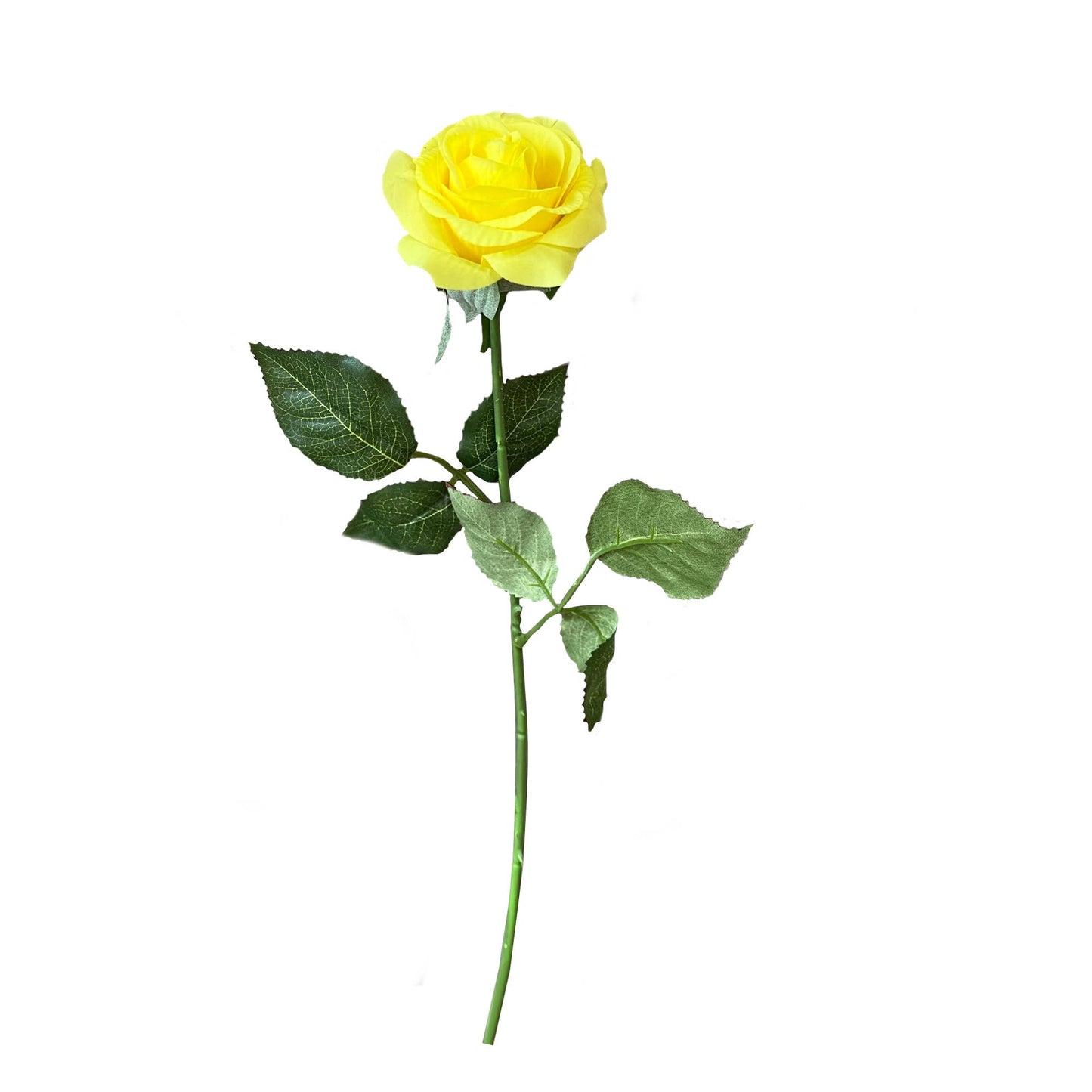 Pack of 50 stems-Ultra Realistic Rose-17": Cream Pink