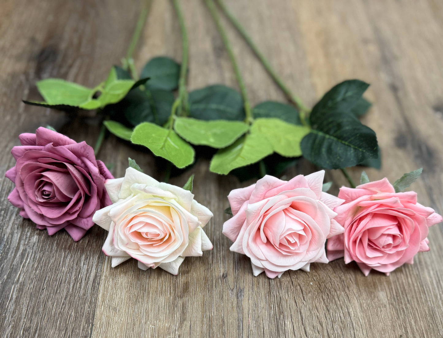 Pack of 50 stems-Ultra Realistic Rose-17": Cream Pink