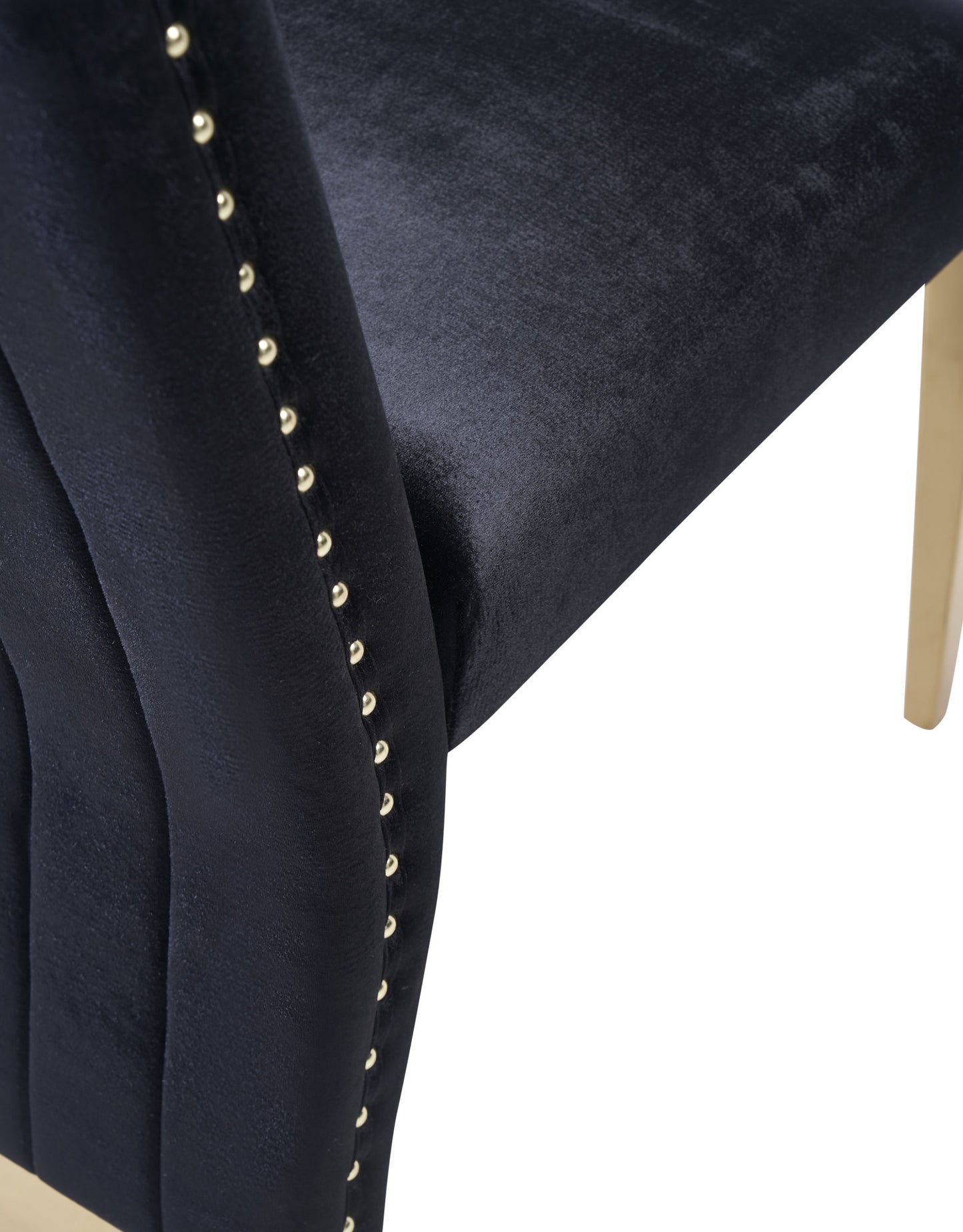 Modrest Keisha Modern Black Velvet and Gold Dining Chair Set of 2
